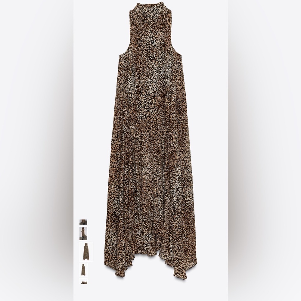 Zara Leopard Print Maxi Dress